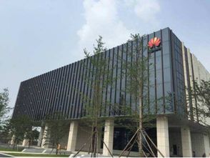 眾巨頭入駐襄陽云谷，金融外包服務繪就城市未來新藍圖